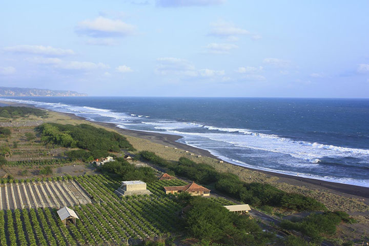 Pantai Pandansari